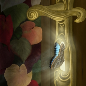 fantasy illustration, butterfly