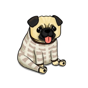Pug in pyjamas