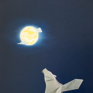 Origami wolf and moon
