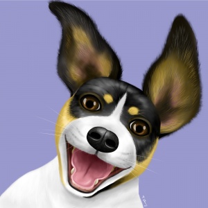 Rat Terrier, dog illustration, animal illustration, pet portraits
