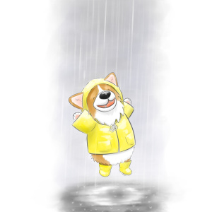 Corgi singin in the rain