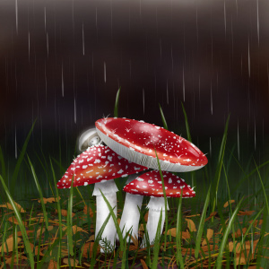 Mushrooms in the rain, woodland illustration