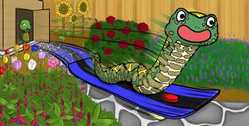 Adam on the Snakeboard            