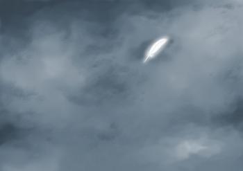Feather in the Storm                     